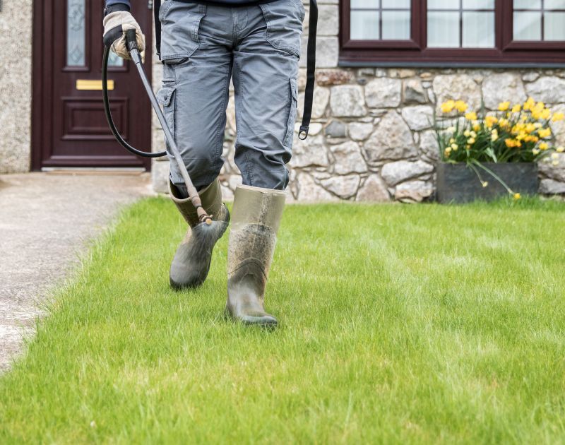 Hardscaping And Landscaping Service